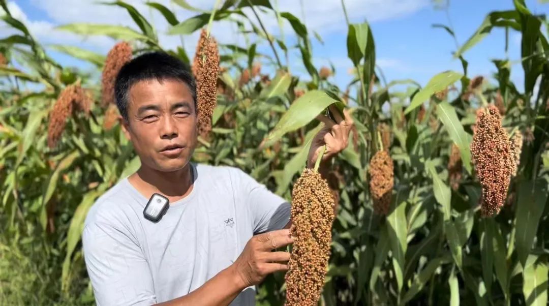 扑克牌斗牛下载